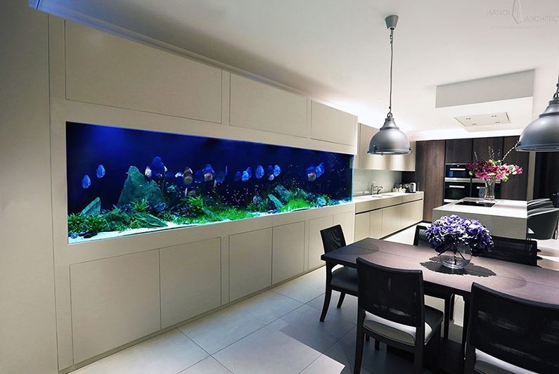 Un long aquarium à l'intérieur de la cuisine-salon