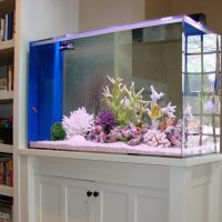 Home aquarium on a wooden pedestal