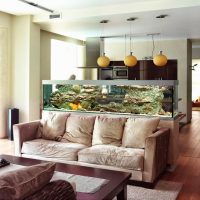 Aquarium as a separator of the kitchen and living room