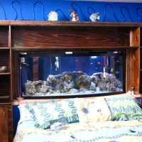 Wooden shelves with aquarium above the bed