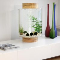 Small decorative aquarium