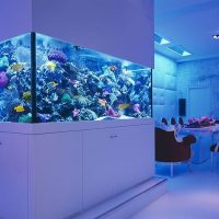Design a living room with a large aquarium