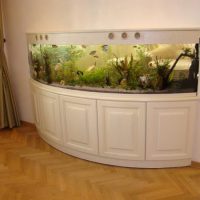 Aquarium panoramique dans un appartement de deux pièces