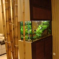 Bamboo in the design of a modern interior