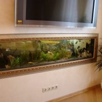 Aquarium intégré dans une baguette en bois