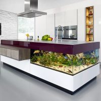 Minimalist style kitchen design