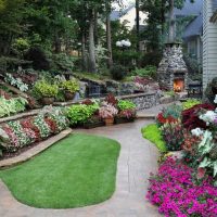 Flower beds with blooming perennials in a summer cottage