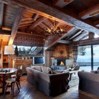 Alpine chalet style living room