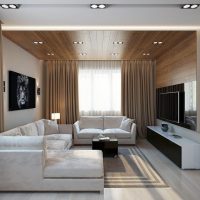 Brown color in the design of the living room