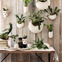 Fioriera con piante in vaso su una parete di legno