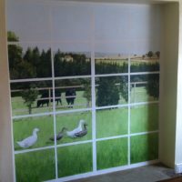 Geese on the grass in a blended window