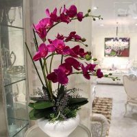 Orchidea artificiale in un vaso bianco