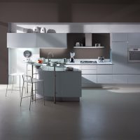 Minimalist gray kitchen