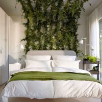 Climbing plants in the design of a sleeping room
