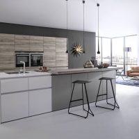 Minimalist kitchen-living room design