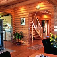 Living plants in the interior design of a log house