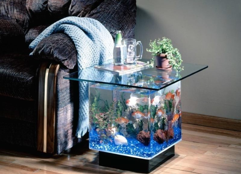 Small aquarium in the form of a coffee table