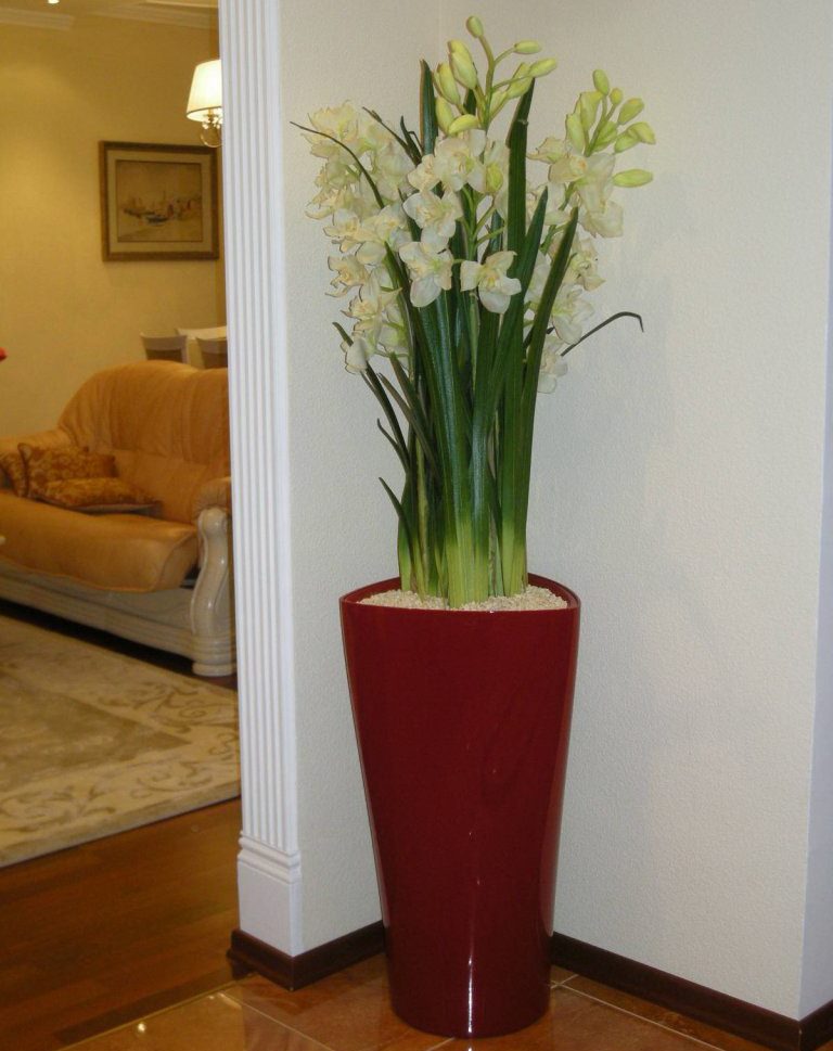 Floor vase in the interior of the living room