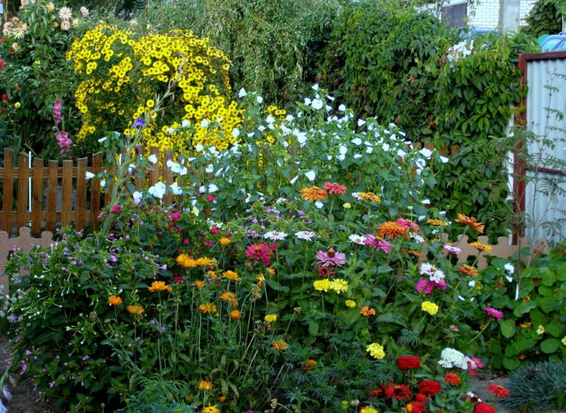 Jesenski cvjetni vrt kod vikendice