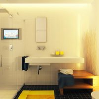 Bathroom design in a contemporary style