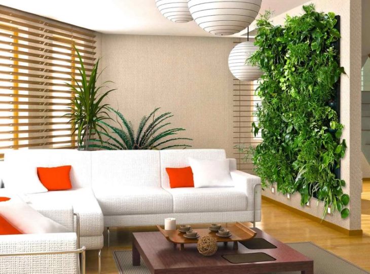 Mur vivant de plantes d'intérieur à l'intérieur du salon