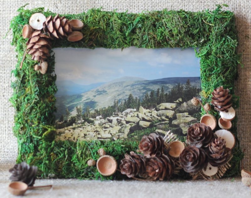 Cool photo frame of moss and pine cones
