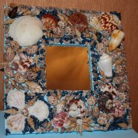 Seashells in interior decoration