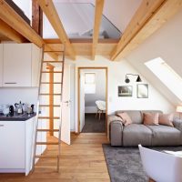 Design of an attic apartment