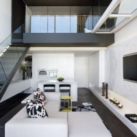 Black and white living room interior