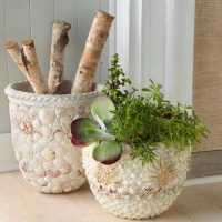 Decor of pots with river shells