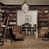 Retro style home library