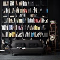 Collection of books on black shelves