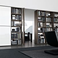 Modern style bookcases