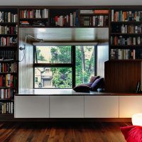 Bookshelves around a window in a private house