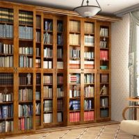 Bookcases with doors along the living room wall