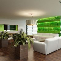 Spacious room with living plants