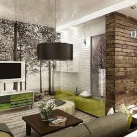 Ecological style apartment design
