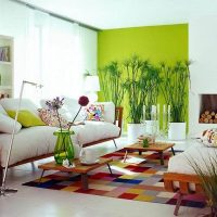Green wall in the design of a studio apartment