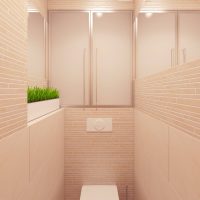 Eco-friendly toilet design