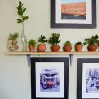 Wooden shelf for indoor plants