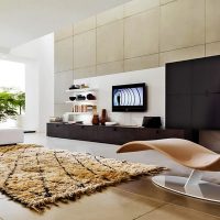 Minimalist living room with living plants