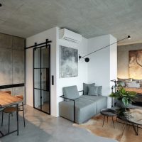 Gray studio apartment interior