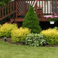 Mixborder with bushes in front of a wooden porch