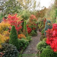 Landscape garden in the middle of autumn
