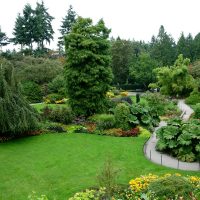 Trees and shrubs in a landscape style garden