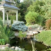 un petit étang dans la zone de loisirs du jardin classique
