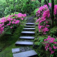Garden staircase made of natural stone