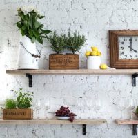 Wooden shelves with living plants