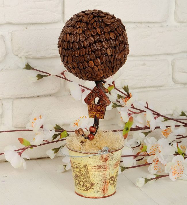 Coffee tree for home decoration
