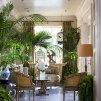Tropical plants in a modern interior